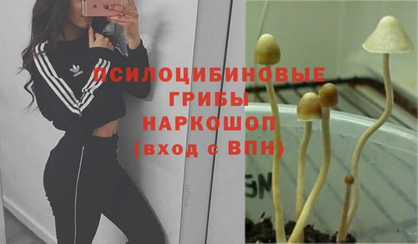 apvp Балабаново