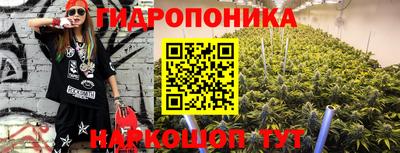 бошки Владивосток