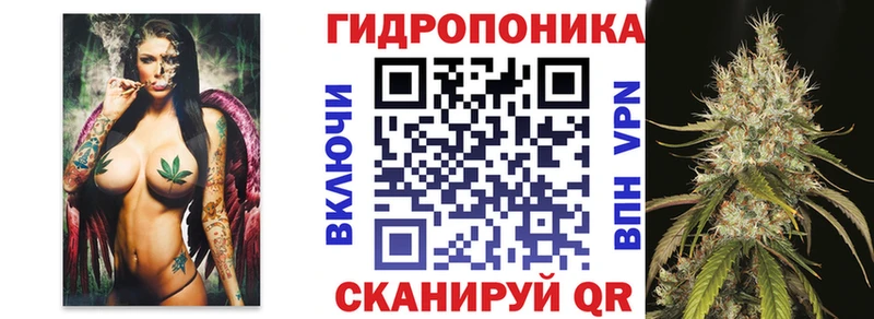 как найти закладки kraken сайт Канабис индика Бор